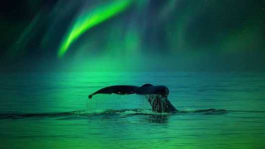 Misconfigured Git Configurations Targeted in Emeraldwhale Attack