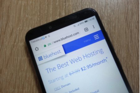 Bugs Rack Web Host Sites and Flight-Booking System