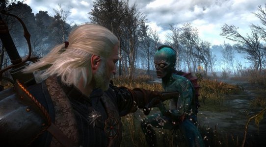 This mod adds 10 fully functional firearms/guns to The Witcher 3