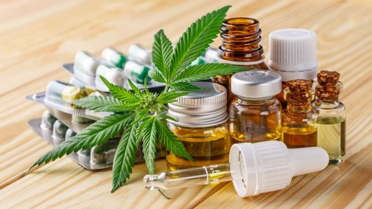 Police Swoop on €645m Cannabis Investment Fraud Gang