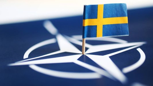 Hackers Target New NATO Member Sweden with Surge of DDoS Attacks