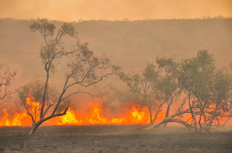 Aussie Bushfires Donation Site Hit by Magecart Thieves