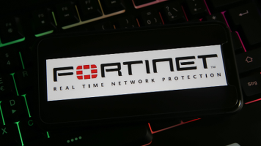 Hackers Leverage Compromised Fortinet Devices to Distribute Ransomware