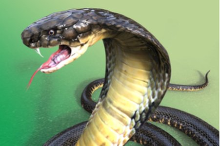 Hidden Cobra Coils and Strikes at Turkish Banks