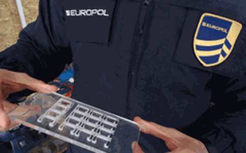 Europol takes down major card fraud network