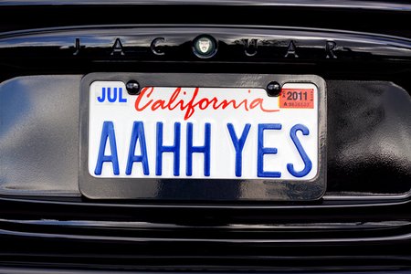 California Cops Launch ALPR Transparency Portal