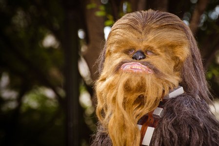 Chewbacca Turns Up as Part of 11-Country Malware Campaign Against Retailers
