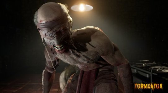 TORMENTOR is a new game from the devs behind AGONY, SUCCUBUS & PARANOID
