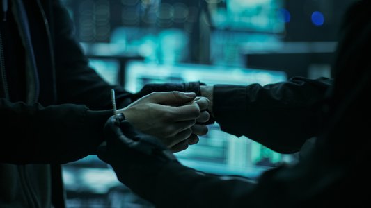 Romanian Extradited to US to Face Cybercrime Charge