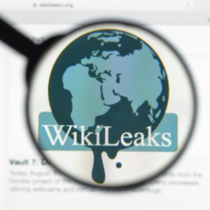 Mueller Questions Stone Associates on WikiLeaks