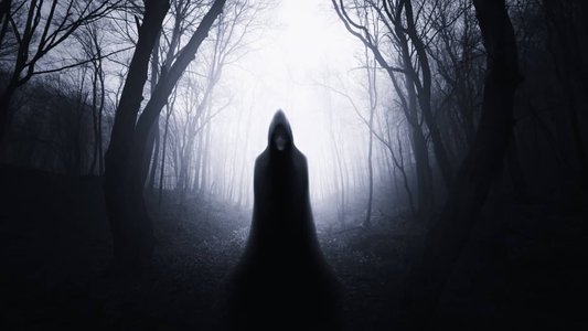 FjordPhantom Android Malware Targets Banks With Virtualization