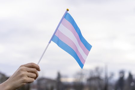 Trans Tracking Plugin Reported to Norwegian Authorities