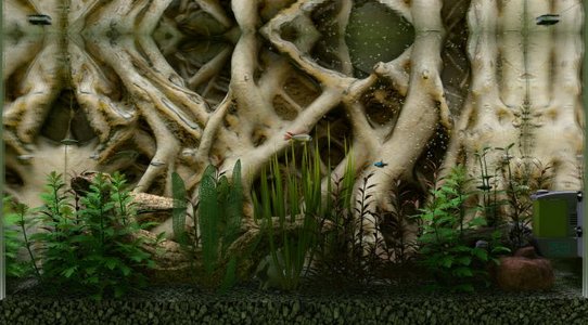 Biotope promises to be the most realistic Aquarium simulator, coming to Steam Early Access on July 23rd