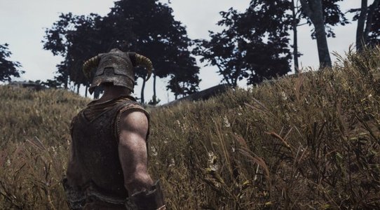 This Mod for Skyrim Special Edition overhauls the grass and ground textures of all regions