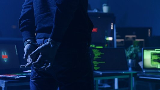 US and Euro Police Smash Cybercrime Marketplace