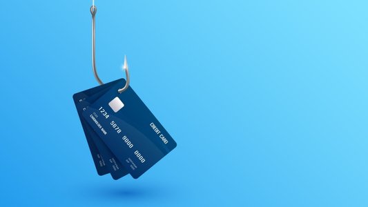 New PhishWP Plugin Enables Sophisticated Payment Page Scams