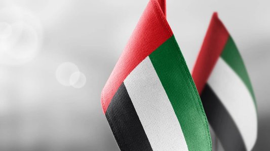Smishing Triad Targets UAE Residents in Identity Theft Campaign