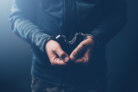 NetWalker Suspect Extradited to US