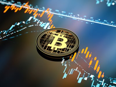 Hacker Group Gunning for Musk
