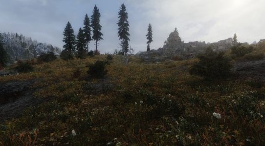 Unbelievable Grass Two Redux 1.3 significantly overhauls the grass in Skyrim
