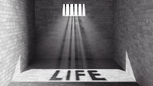 Hydra Market Leader Sentenced to Life by Moscow Court