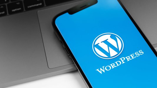WP Time Capsule Plugin Update Urged After Critical Security Flaw
