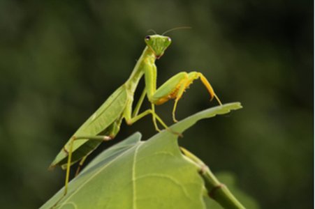 Phishing Attacks Bypass Two-Factor Authentication