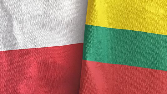 Lithuania and Poland Issue Cyber-Attack Warnings