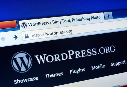 WordPress Patches Zero-Day XSS Flaw