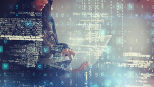 At Least 30% of "Cyber-Criminals" Are Women: Report
