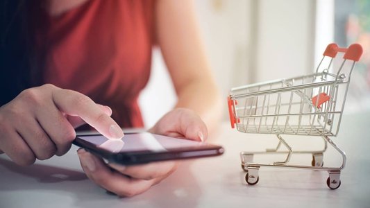 E-Commerce Fraud Campaign Uses 600+ Fake Sites
