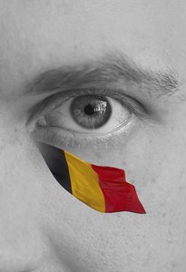 Brussels Attacks Likely to Bring Cyber-Aftermath