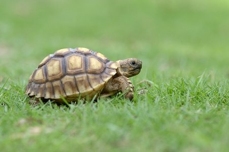 PowerShell Exploits Spotted in Over a Third of Attacks