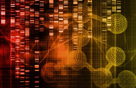9.2 Million More US Healthcare Records Go Up for Sale on the Dark Web