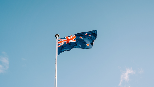 Microsoft's Activision Blizzard merger approved in New Zealand