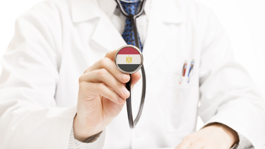 Hacker Claims to Have Stolen Sensitive Medical Records from Egypt's Ministry of Health