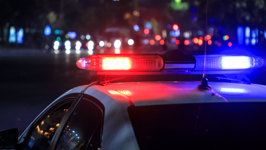 Police Dismantle Ragnar Locker Ransomware Group