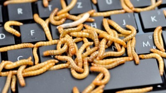 Centreon: Sandworm Attacks Targeted Legacy Open Source Product