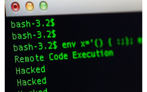 Mayhem Botnet Takes to Shellshock