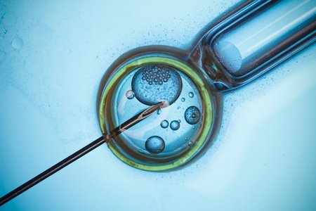 Data Stolen from America's Largest Fertility Clinic Operator