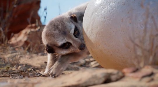 Weta Digital’s Unreal Engine Meerkat Tech Demo has been updated to UE5.4 and is available for download