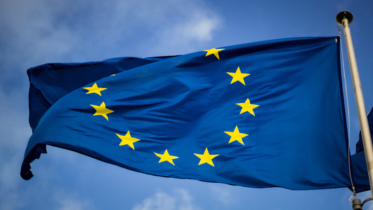 Microsoft's proposed Activision Blizzard merger seals EU approval
