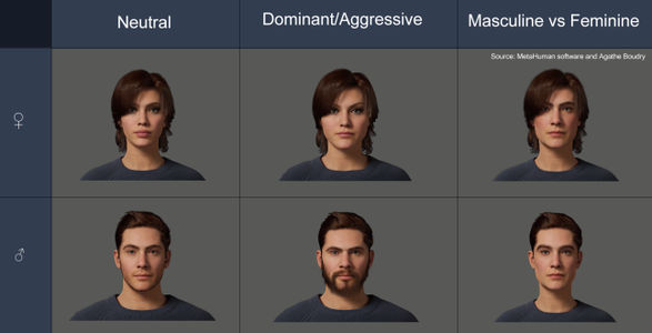 The Importance of Facial Structure and their Underlying Messages in the Perception of MetaHumans