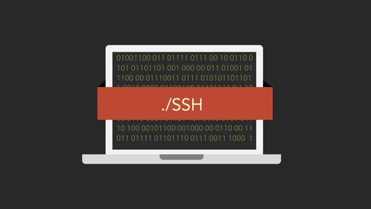 Trusted Contributor Plants Sophisticated Backdoor in Critical Open-Source Library