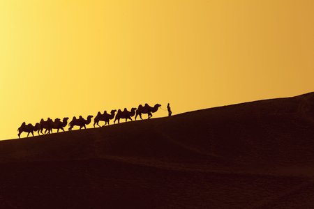 Silk Road Successor Evolution Disappears From Dark Web
