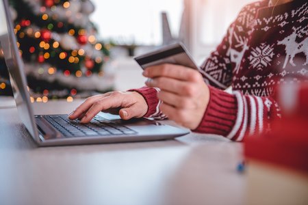 US Holiday Shoppers Fear Cyber-Scams