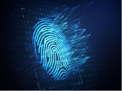 Businesses Shine a Light on Shadow IT