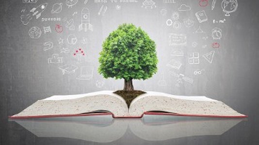 Learning Tree International Named First (ISC)² Global Premier Partner