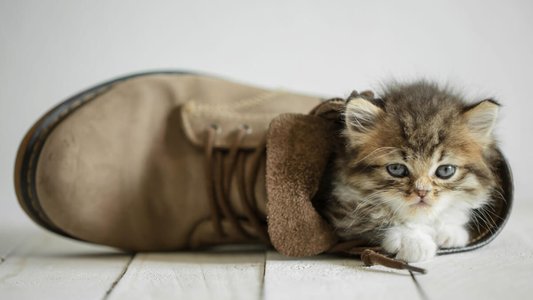 New Bootkit “Bootkitty” Targets Linux Systems via UEFI