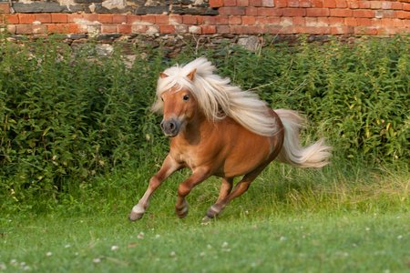 Reveton Ransomware Gets Serious Upgrade with Pony Stealer